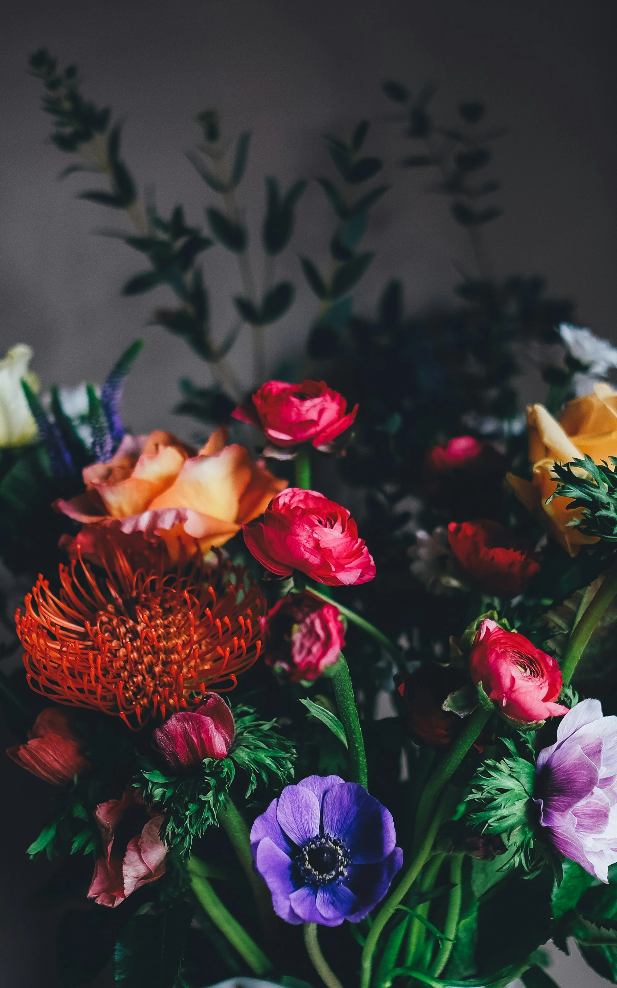 Colorful florals