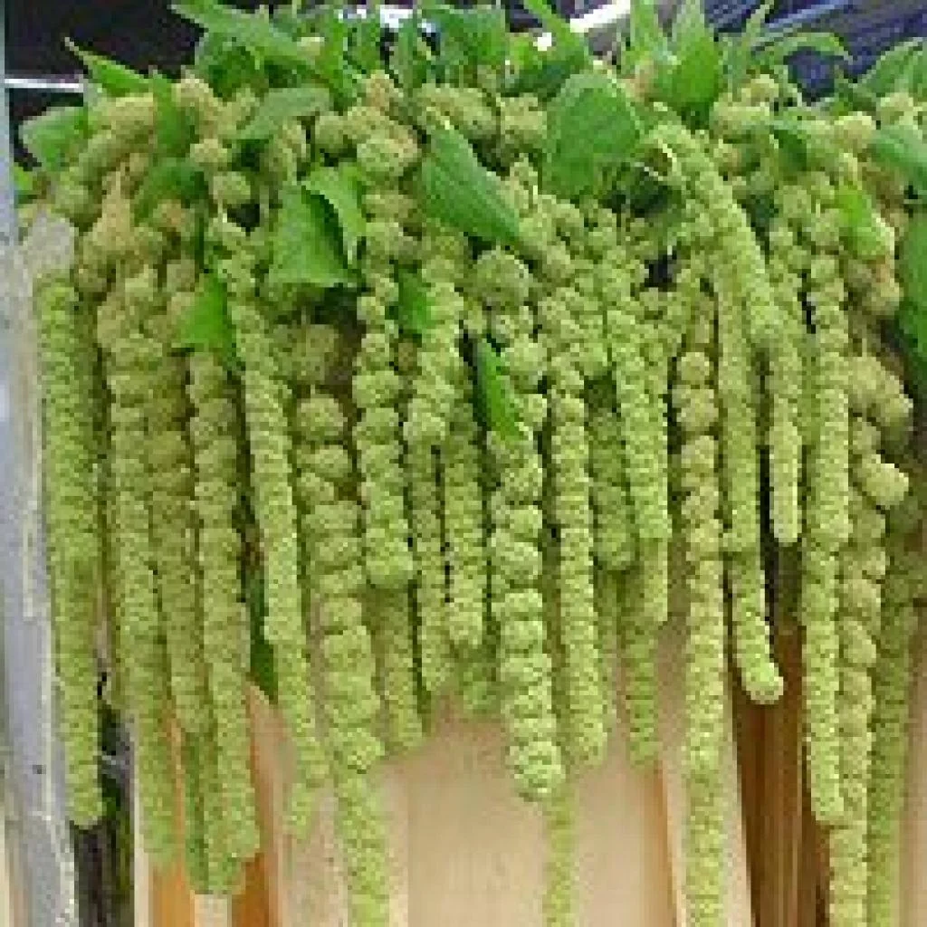 Green flowers