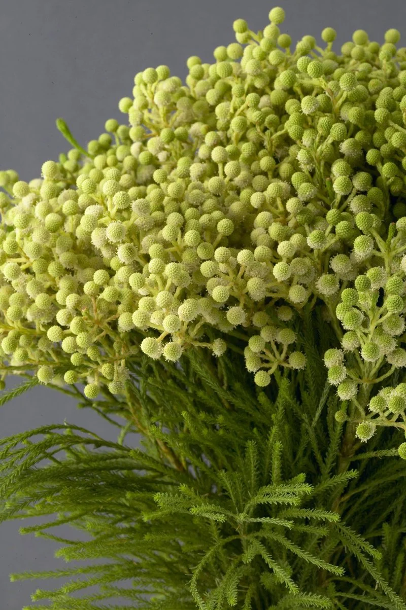 Green flowers