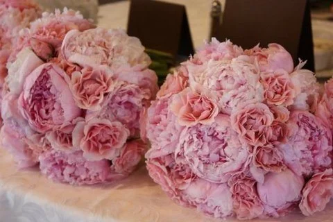 Pink flowers