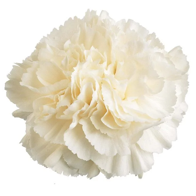 White flowers