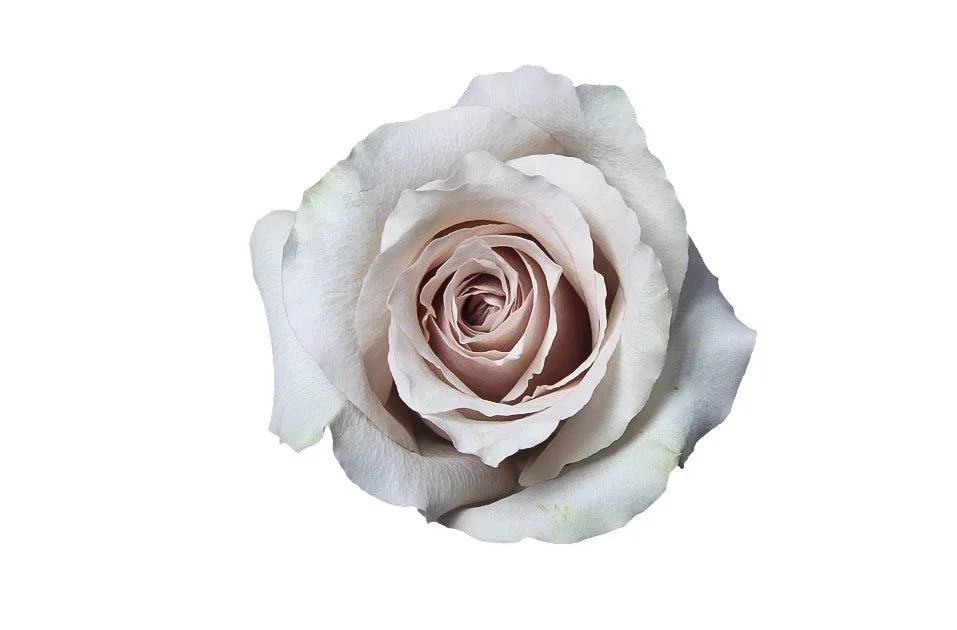 White flowers