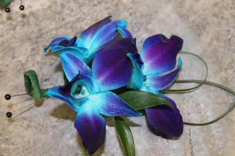 Boutonniere or corsage